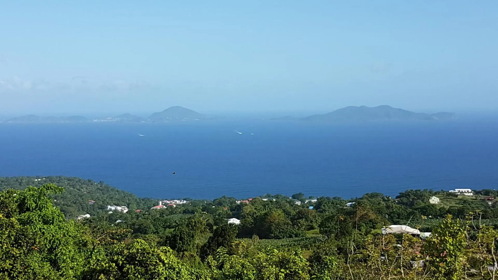 L'Ilot Fruits Guadeloupe Villa Trois-Rivières